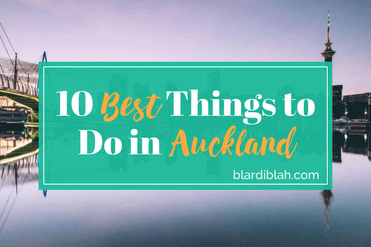 top things to do in auckland