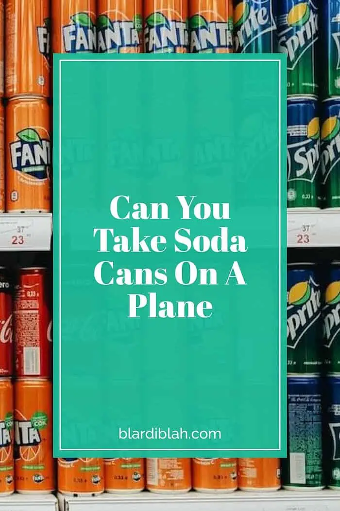 Can You Take Cans On A Plane Domestic at Marcy Boothe blog